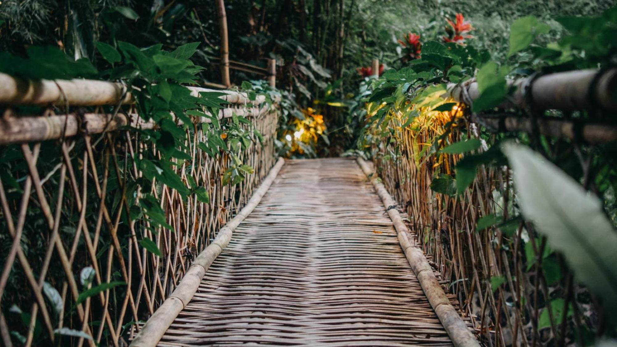 Selat Hideout Eco Bamboo House Baliヴィラ 部屋 写真